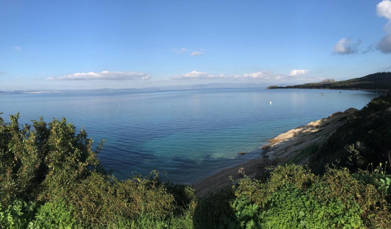 Hotel Almanarre Plage - Hotel Eco-Responsable Face A La Mer Hyeres Exterior photo